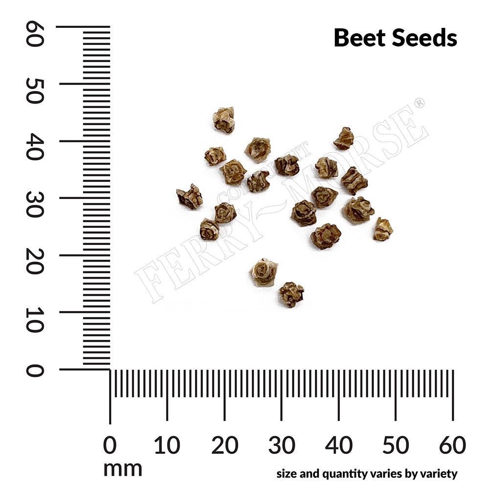 Beet seed spill and measurement